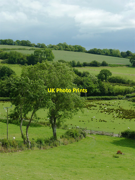 Photo 6"x4" Farmland south-west of Llwyn-y-Groes, Ceredigion Llwyn-y-groes\/SN5956 c2011 P1