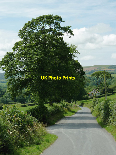 Photo 6"x4" Lane west from Llwyn-y-Groes, Ceredigion Llwyn-y-groes\/SN5956 c2011