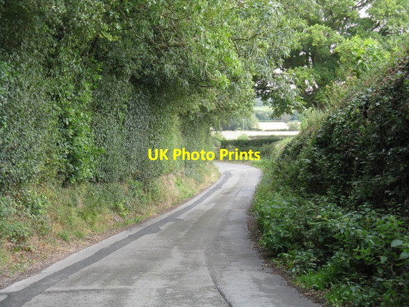 Photo 6"x4" The winding lane from Ledicot Ledicot c2011