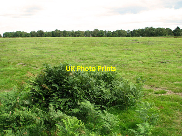 Photo 6"x4" View across pasture on Leiston Common Leiston c2011