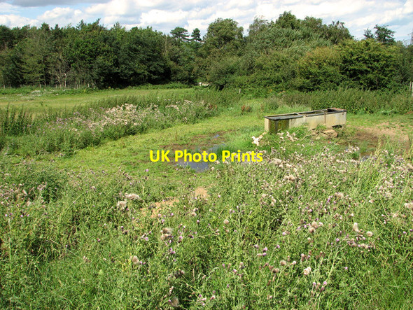 Photo 6"x4" Livestock watering trough by Broom Covert, Leiston Leiston c2011