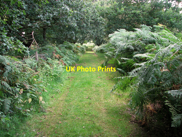 Photo 6"x4" Footpath to Leiston Common Leiston c2011
