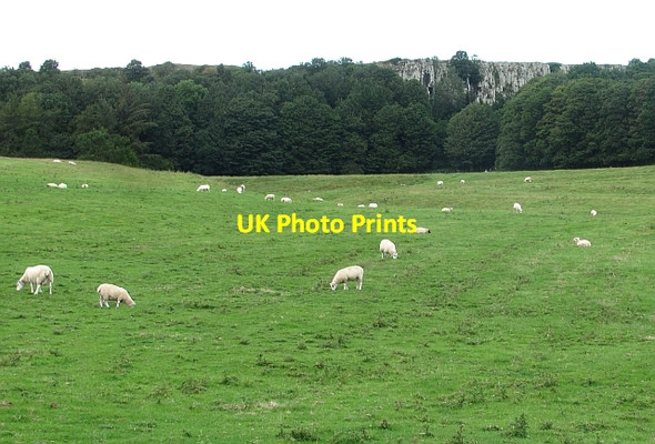 Photo 6"x4" Spindlestone Heughs Spindlestone c2011