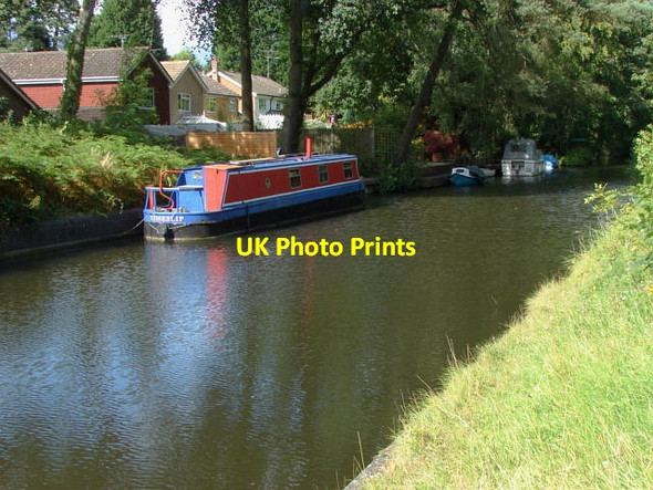 Photo 6"x4" Basingstoke Canal Frimley c2011