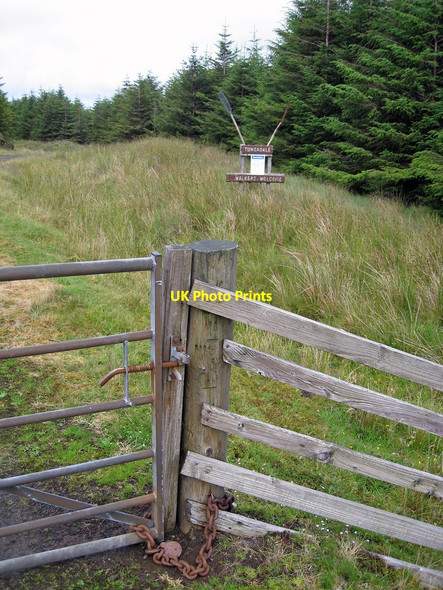 Photo 6"x4" Walkers Welcome Roineval c2011