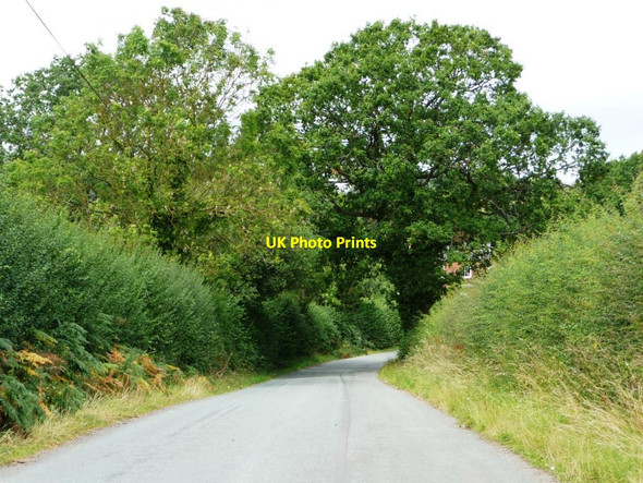 Photo 6"x4" North-west from The Serpent Ludlow c2011