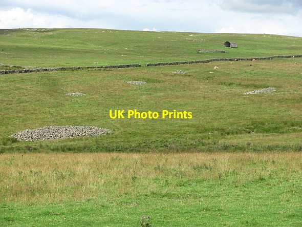 Photo 6"x4" Farmland, Spott Burn Blythe c2011