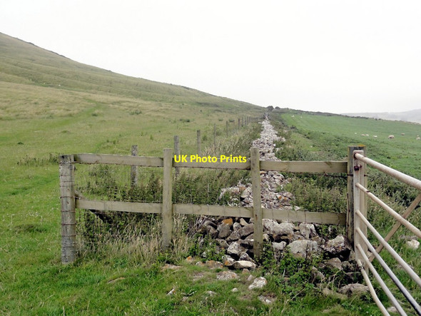 Photo 6"x4" Field Boundary below Tyneham Cap Tyneham c2011