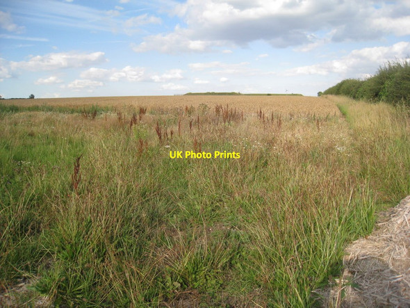 Photo 6"x4" Looking across a wheatfield towards the reservoir Burnham\/TA0517 c2011