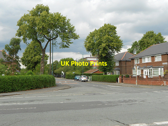 Photo 6"x4" Pink Bank Lane Belle Vue\/SJ8796 c2011