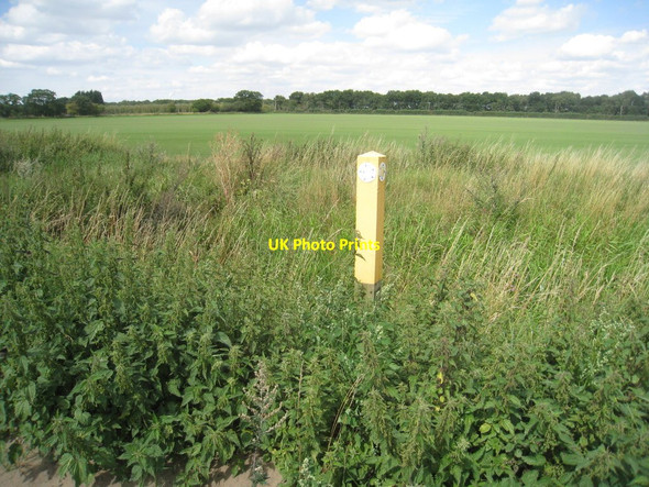 Photo 6"x4" Waymarker on the path from Drinsey Nook to Thorney Thorney\/SK8572 c2011