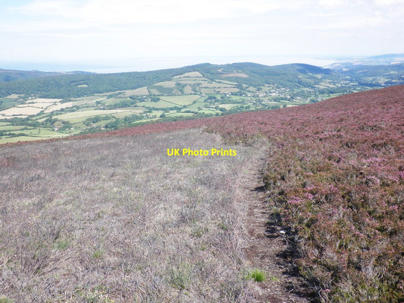 Photo 6"x4" View towards Wootton Courtenay Brockwell c2011
