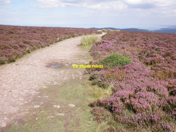 Photo 6"x4" Ridge path, Dunkery Hill Brockwell c2011