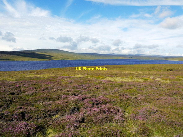 Photo 6"x4" Heather moorland east of Cow Green Reservoir Cauldron Snout c2011