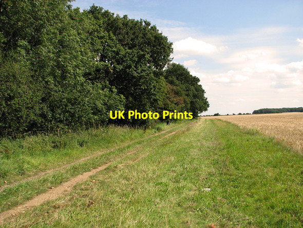 Photo 6"x4" Track skirting Whin Close, Sedgeford Fring c2011