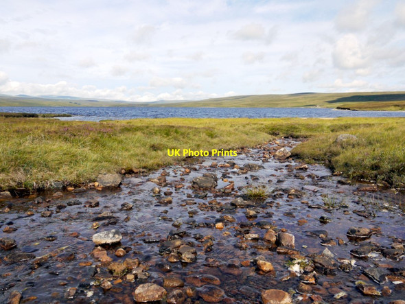 Photo 6"x4" Red Sike Cauldron Snout c2011