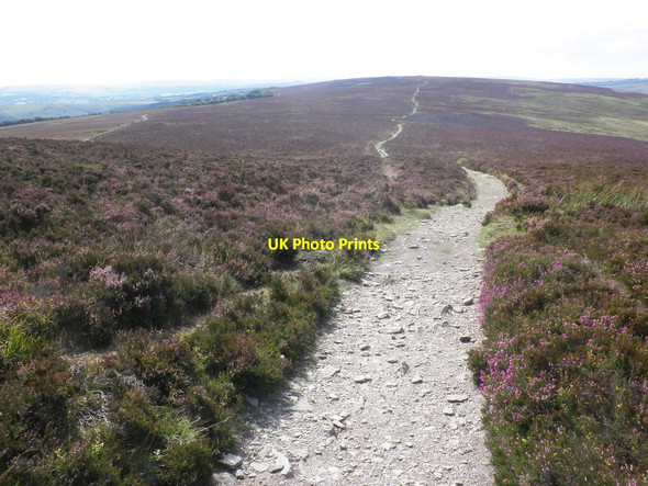 Photo 6"x4" Path towards Great Rowbarrow Codsend c2011