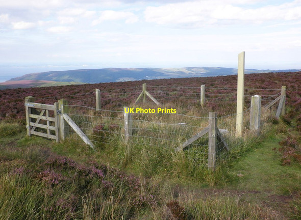 Photo 6"x4" Scientific station, near Great Rowbarrow Codsend c2011