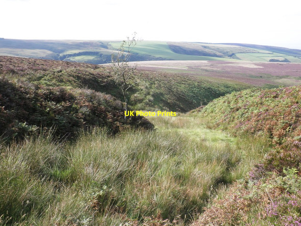 Photo 6"x4" Lang Combe Head Codsend c2011