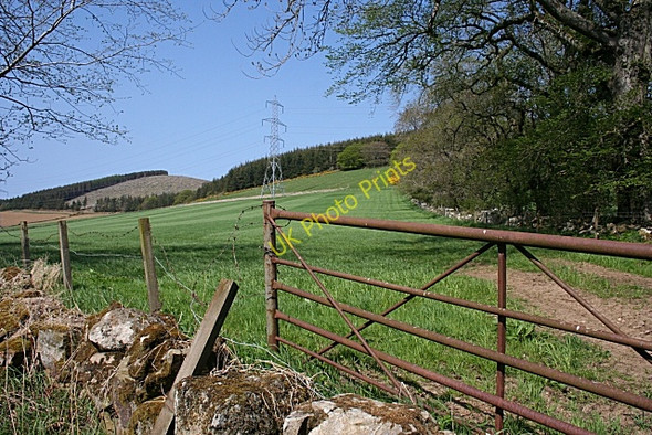 Photo 6"x4" White Hill and Fourman Hill Bogniebrae c2008