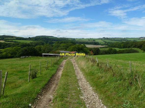 Photo 6"x4" Sturthill, farm buildings Chilcombe\/SY5291 c2011