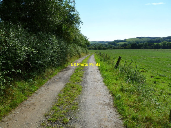 Photo 6"x4" Sturthill, bridleway Chilcombe\/SY5291 c2011