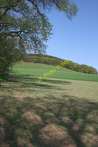 Photo 6"x4" White Hill Bogniebrae c2008