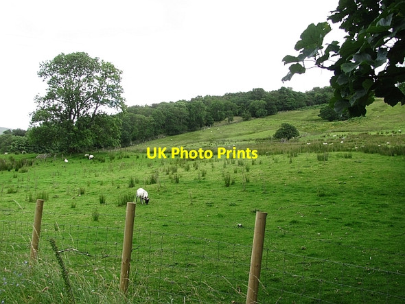 Photo 6"x4" Fields on the south side of Loch Tay Ardeonaig c2011