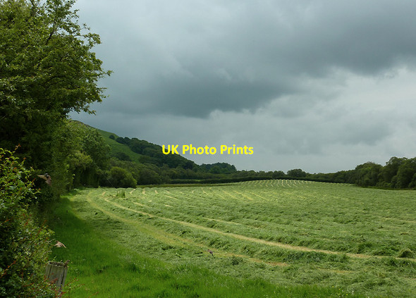 Photo 6"x4" Hay field near Cors Caron, Ceredigion Swyddffynnon c2011