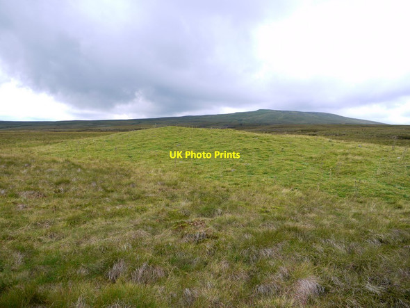 Photo 6"x4" Grassy knoll among the rough grass and peat hags, Great Cocklake Great Cocklake\/NY7928 c2011