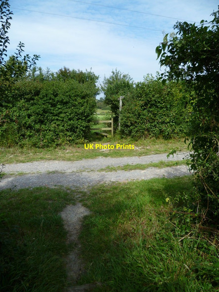 Photo 6"x4" Footpath crossing farm road north of Fulking Fulking c2011