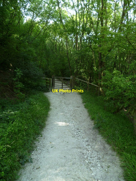 Photo 6"x4" Bridleway to Poynings enters woodland Poynings c2011