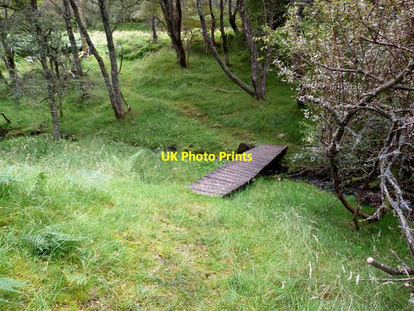 Photo 6"x4" Path to the River Carron Wester Gruinards c2011