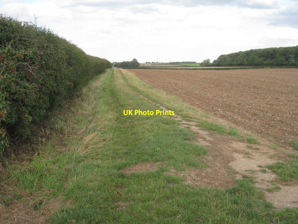 Photo 6"x4" Farm track to Glebe Farm Wootton\/TA0816 c2011
