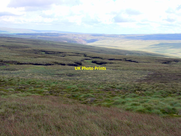 Photo 6"x4" Moorland south-east of Meldon Hill Golden Mea c2011