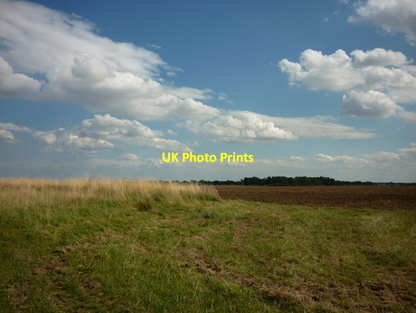 Photo 6"x4" Looking south from Rise Wood New Ellerby c2011