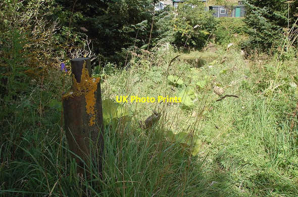 Photo 6"x4" Remnant of the Wire Bridge, Peebles Peebles\/NT2540 c2011