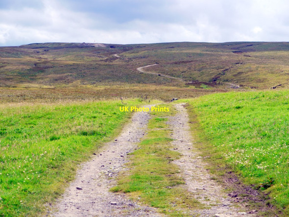 Photo 6"x4" Pennine Way west of Birkdale Maize Beck\/NY8027 c2011