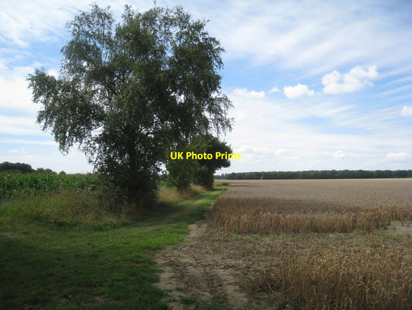 Photo 6"x4" The footpath to Thorney Harby\/SK8770 c2011