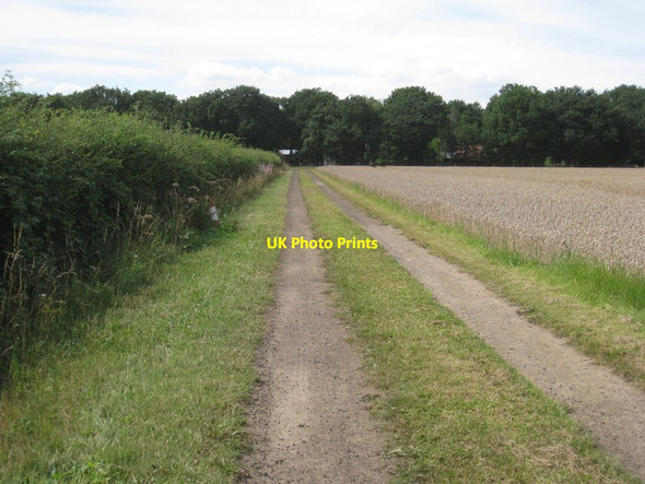 Photo 6"x4" Farm track to Thorney Brown Wood Thorney\/SK8572 c2011