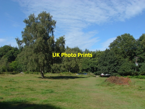 Photo 6"x4" Whitmoor Common Prey Heath c2011