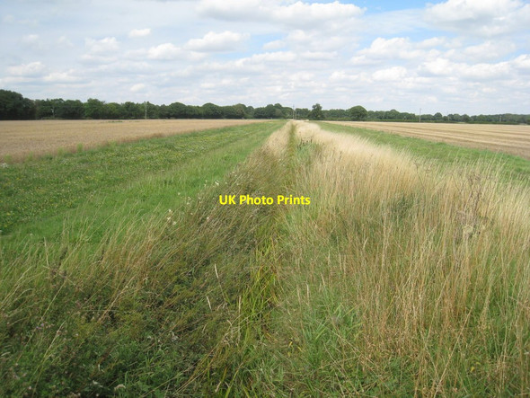 Photo 6"x4" Drain near Thorney Thorney\/SK8572 c2011
