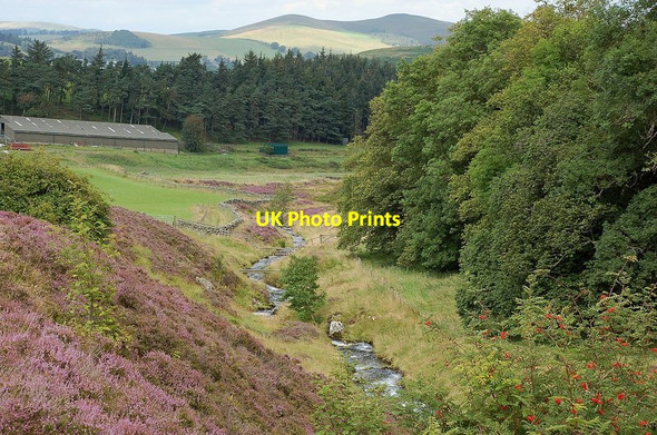 Photo 6"x4" The burn nearing Drumelzier Drumelzier\/NT1334 c2011