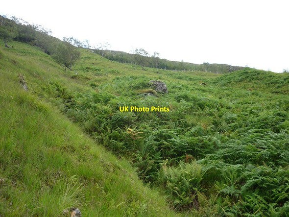 Photo 6"x4" Hillside in Gleann Dubh Lighe Kinlocheil c2011