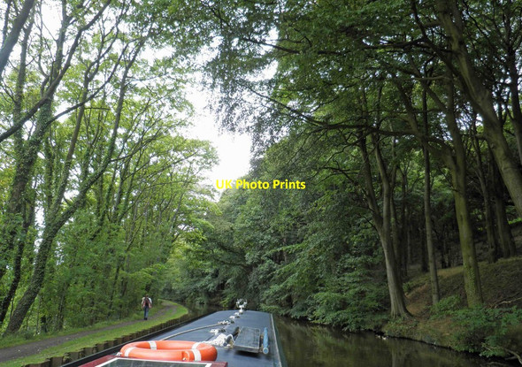 Photo 6"x4" Farnhill woods alongside the Leeds Liverpool canal Farnhill c2011