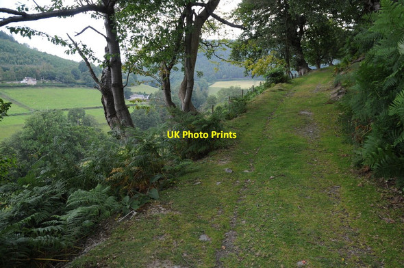 Photo 6"x4" Clwydian Way Llandynan c2011