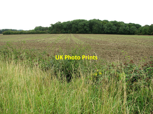 Photo 6"x4" View towards Parham Wood, Parham Framlingham c2011