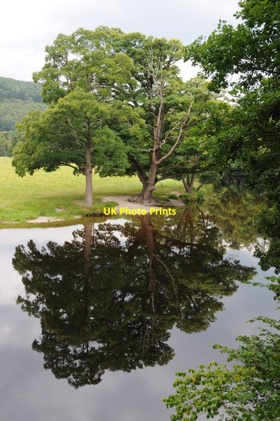 Photo 6"x4" Trees reflected in the River Dee Llangollen c2011