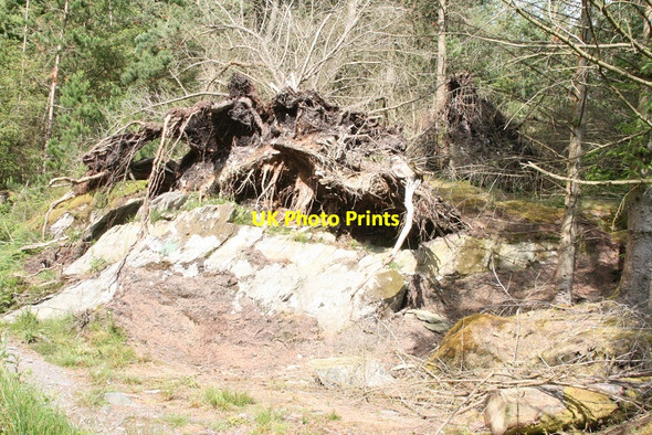 Photo 6"x4" Rock Ripped at Betws y Coed Betws-y-Coed c2011