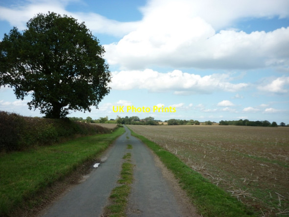 Photo 6"x4" A minor road to Catwick Seaton\/TA1646 c2011